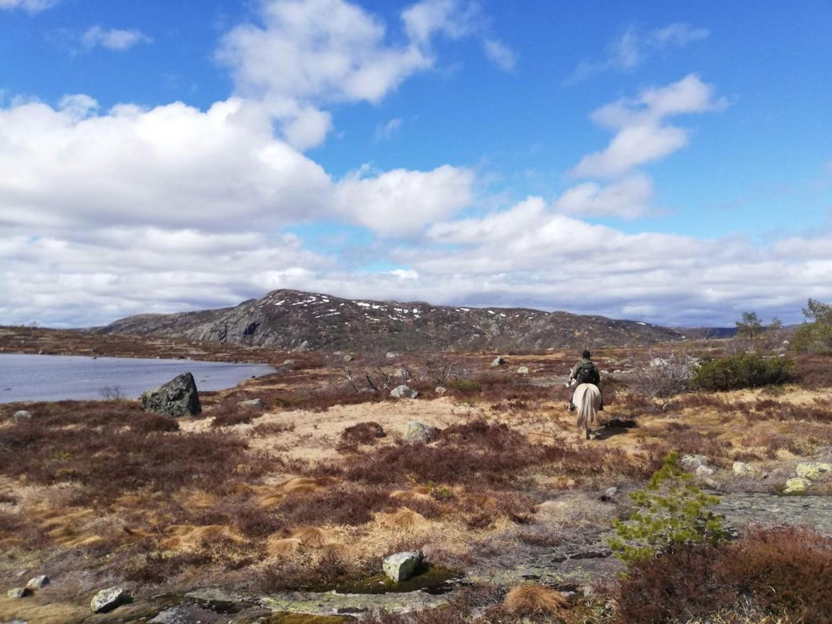Hotell Eikerapen Gjestegard Aseral Fossdal ภายนอก รูปภาพ