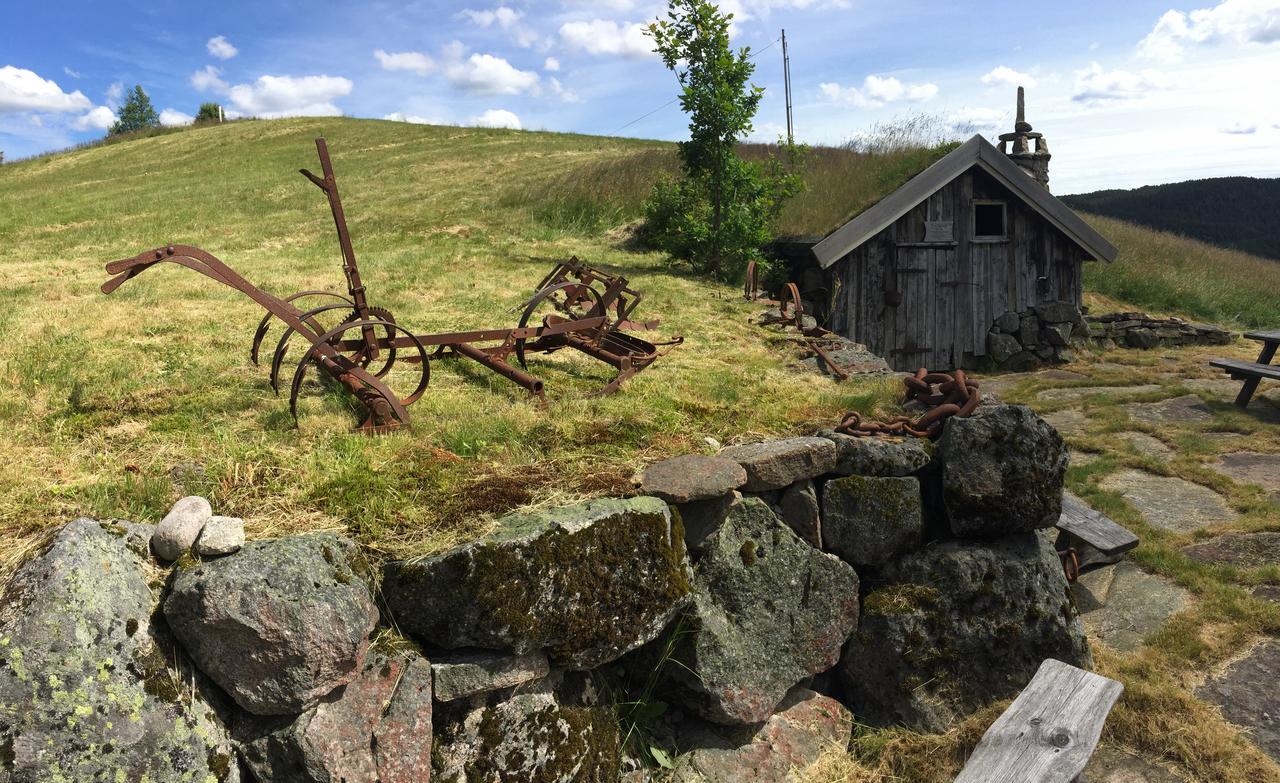 Hotell Eikerapen Gjestegard Aseral Fossdal ภายนอก รูปภาพ